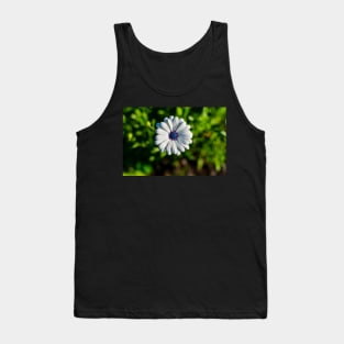 White African daisy or Cape Daisy Tank Top